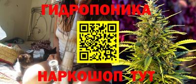эйфоретик Будённовск
