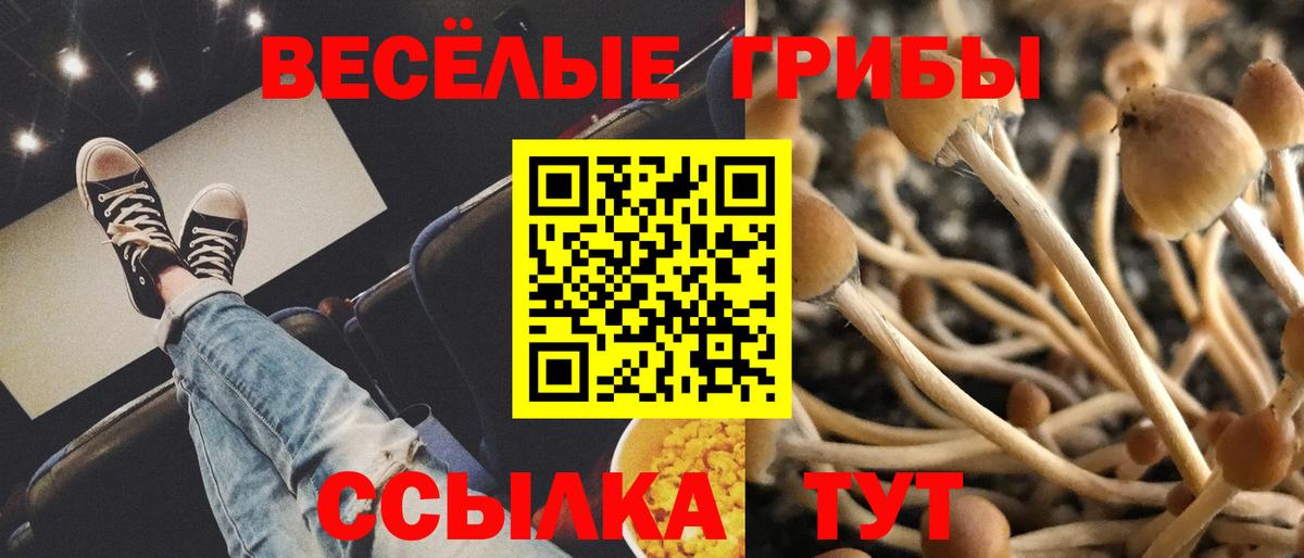 Галлюциногенные грибы мухоморы Артём